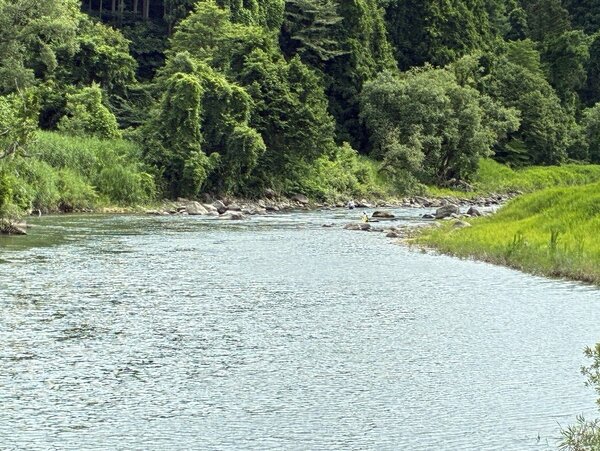 川①IMG_5670.jpg