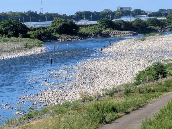 川⑥PXL_20260529_231051598.jpg