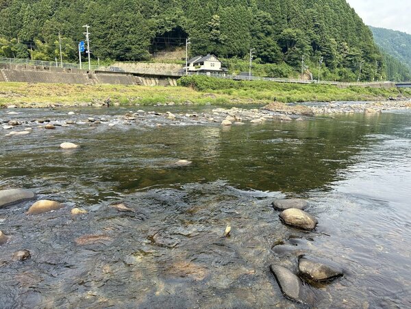川⑦IMG_5246.jpg