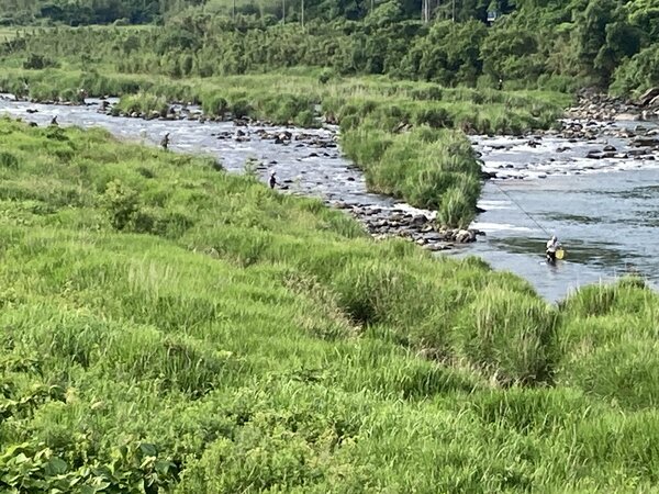 IMG_0736.jpeg