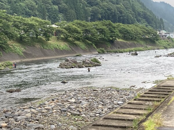 IMG_0955.jpeg
