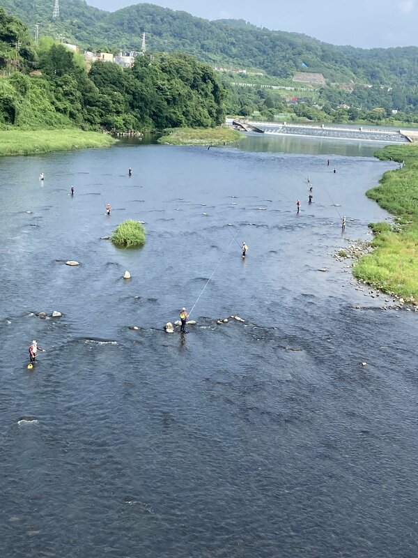 IMG_1362.jpeg