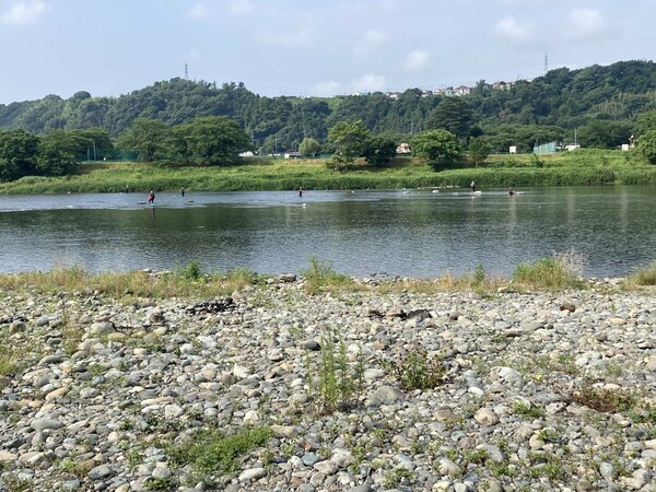 IMG_1363.jpeg