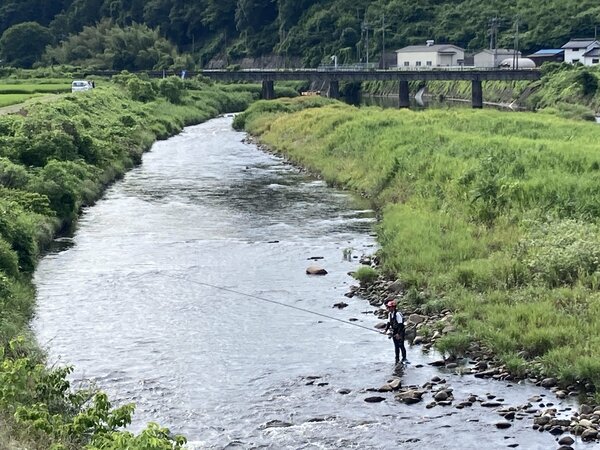 IMG_1575.jpeg