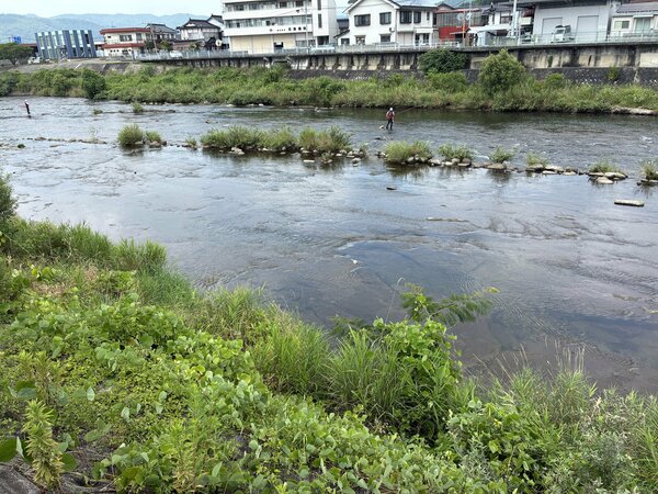 IMG_6029.jpeg