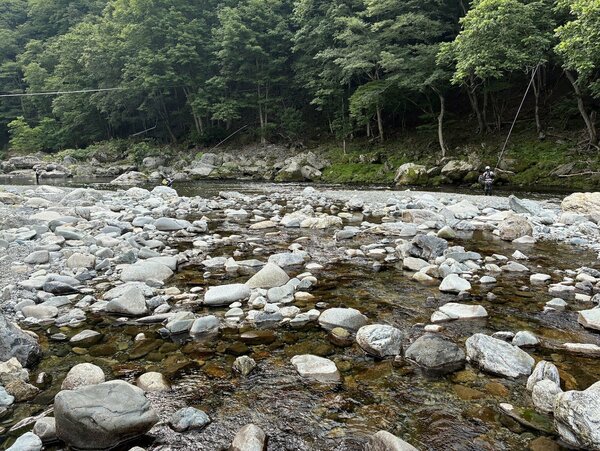 川⑤IMG_5772.jpg