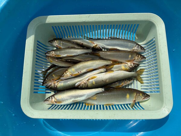 釣果IMG_6058.jpg