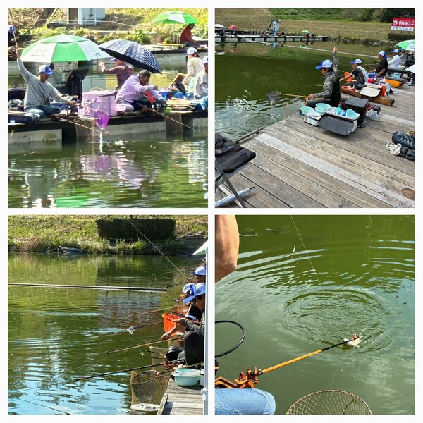 IMG_5094-COLLAGE.jpg