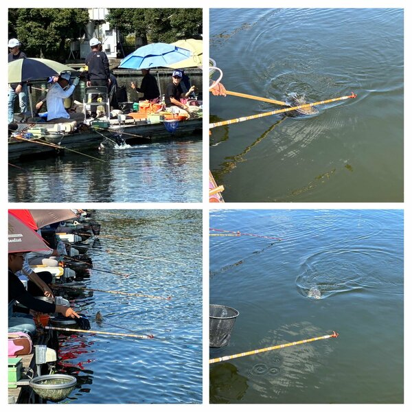 IMG_5003-COLLAGE.jpg
