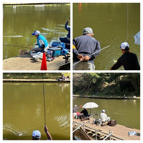 IMG_7459-COLLAGE.jpg